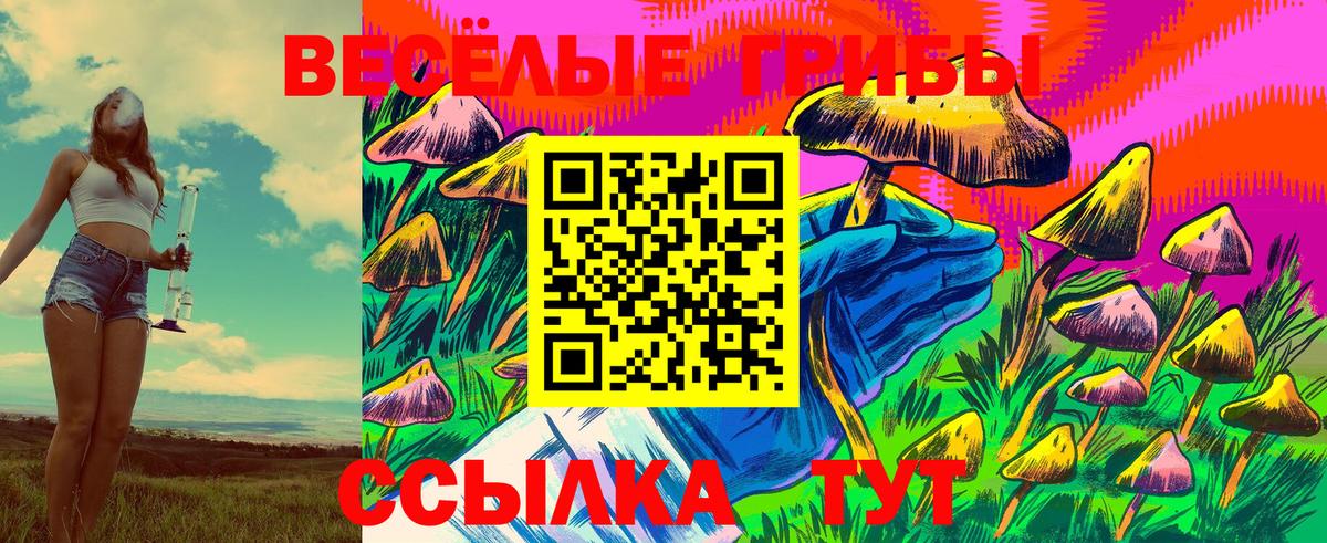 Галлюциногенные грибы Psilocybine cubensis Горячий Ключ