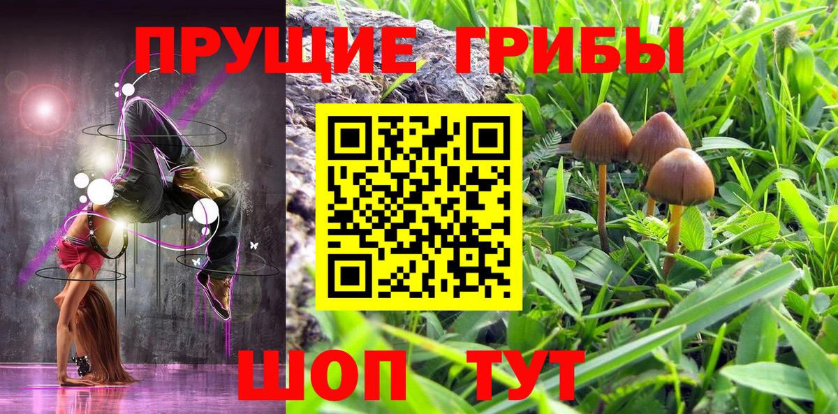 Псилоцибиновые грибы ЛСД  Вход с VPN  Горячий Ключ 